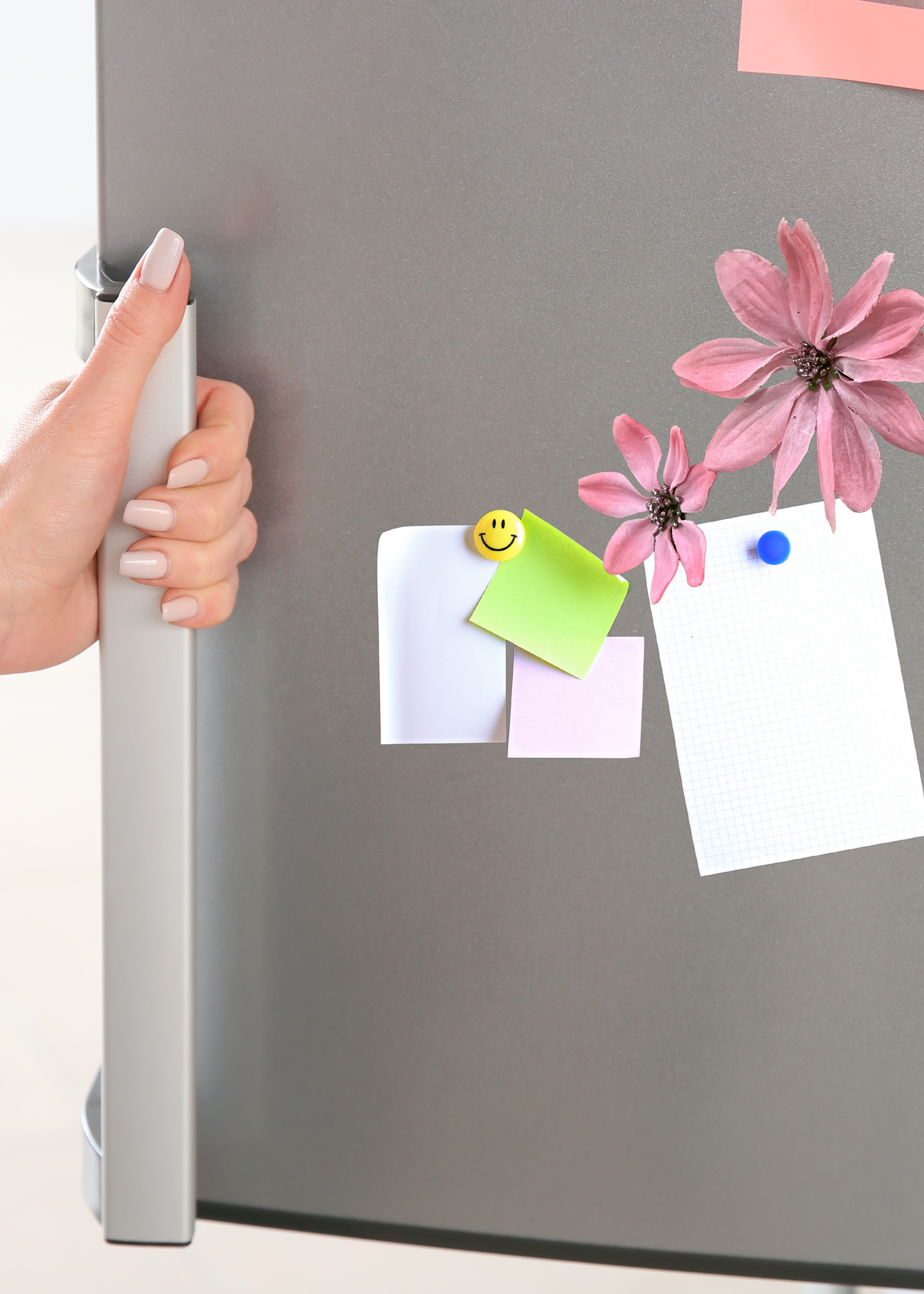 The Pink Daisy Flower Magnet