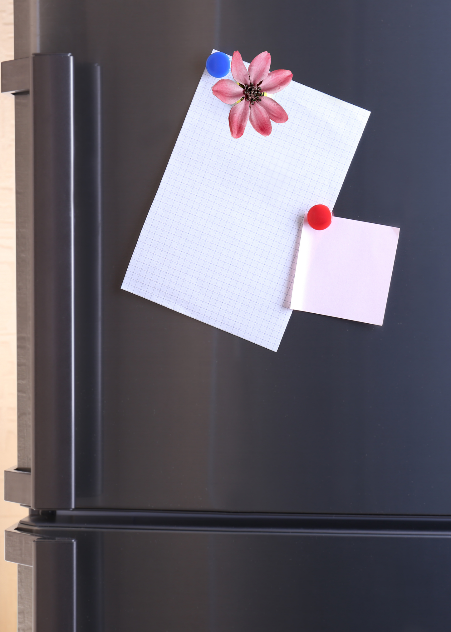 The Pink Daisy Flower Magnet