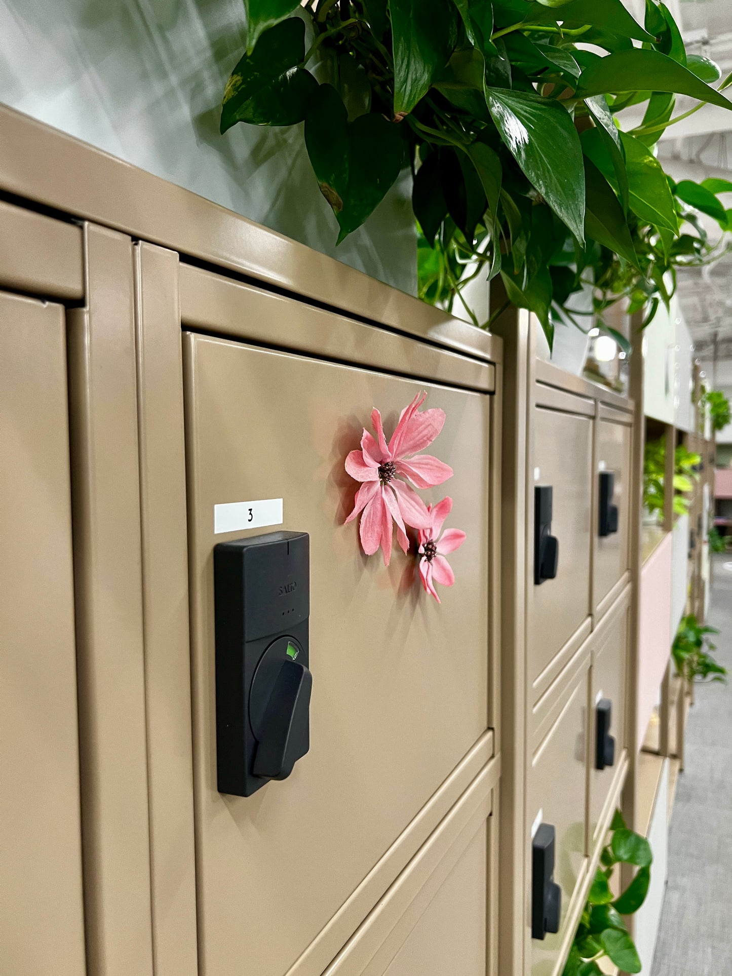 The Pink Daisy Flower Magnet