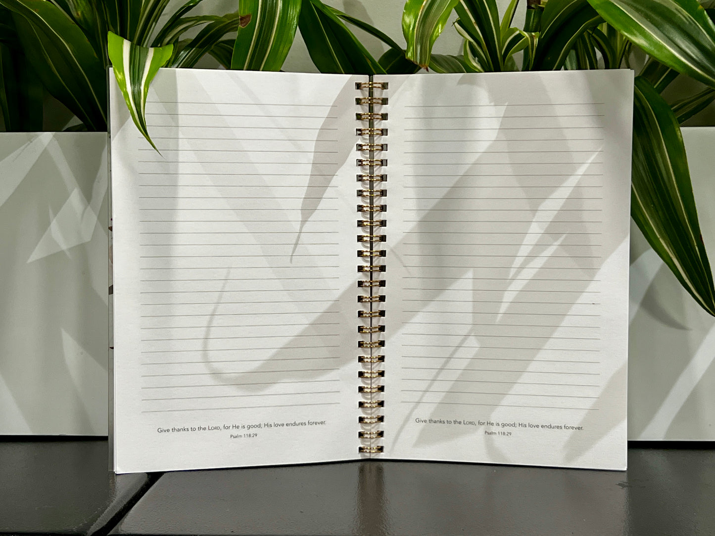ASK, SEEK & KNOCK: Matthew 7:7 Journal