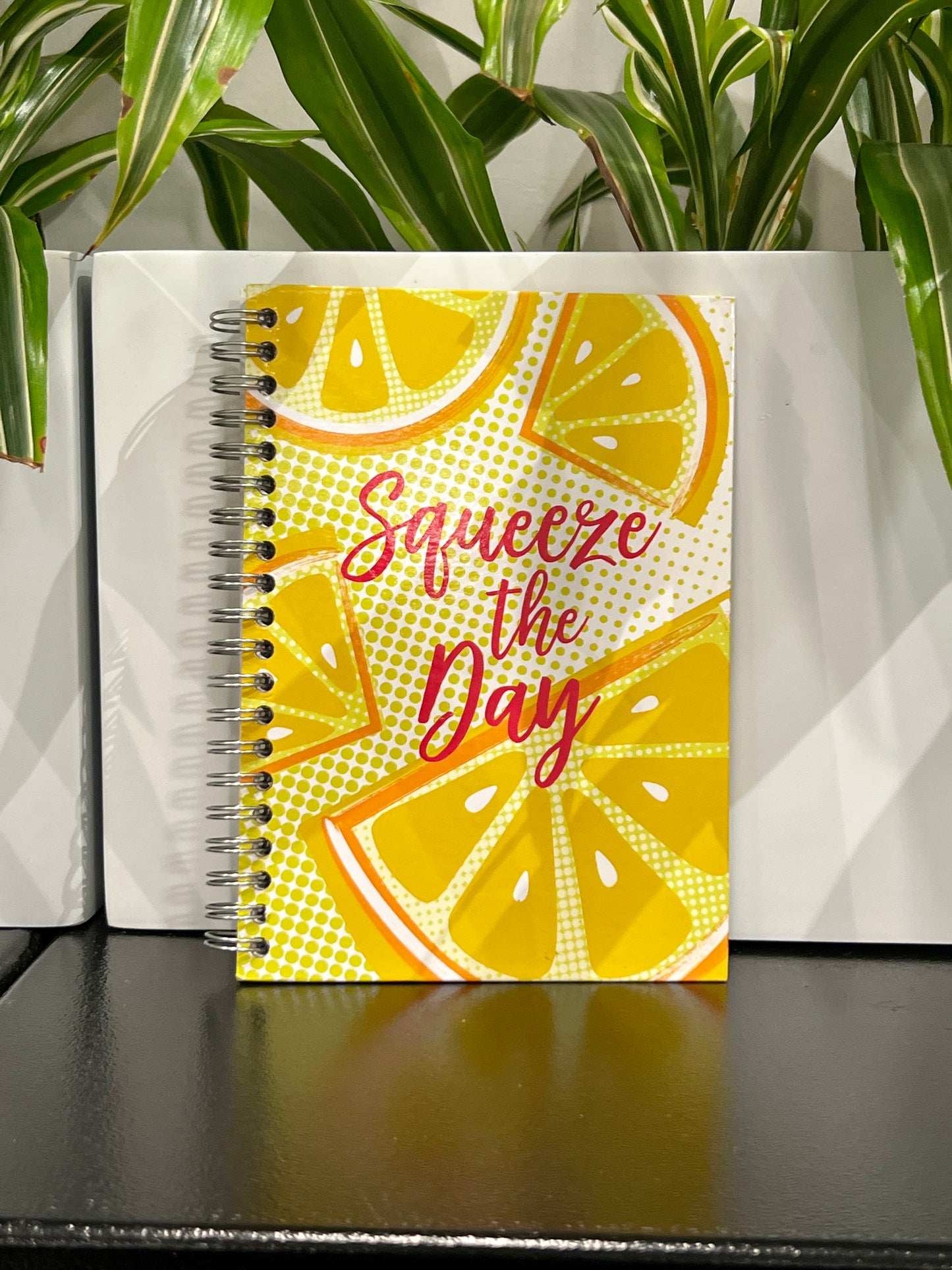SQUEEZE THE DAY Spiral Notebook