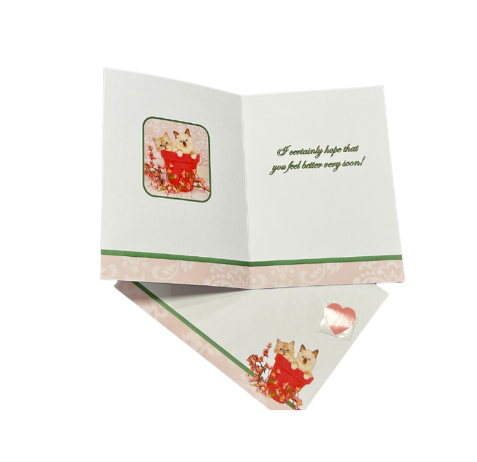 GET WELL Kittens Greeting Card