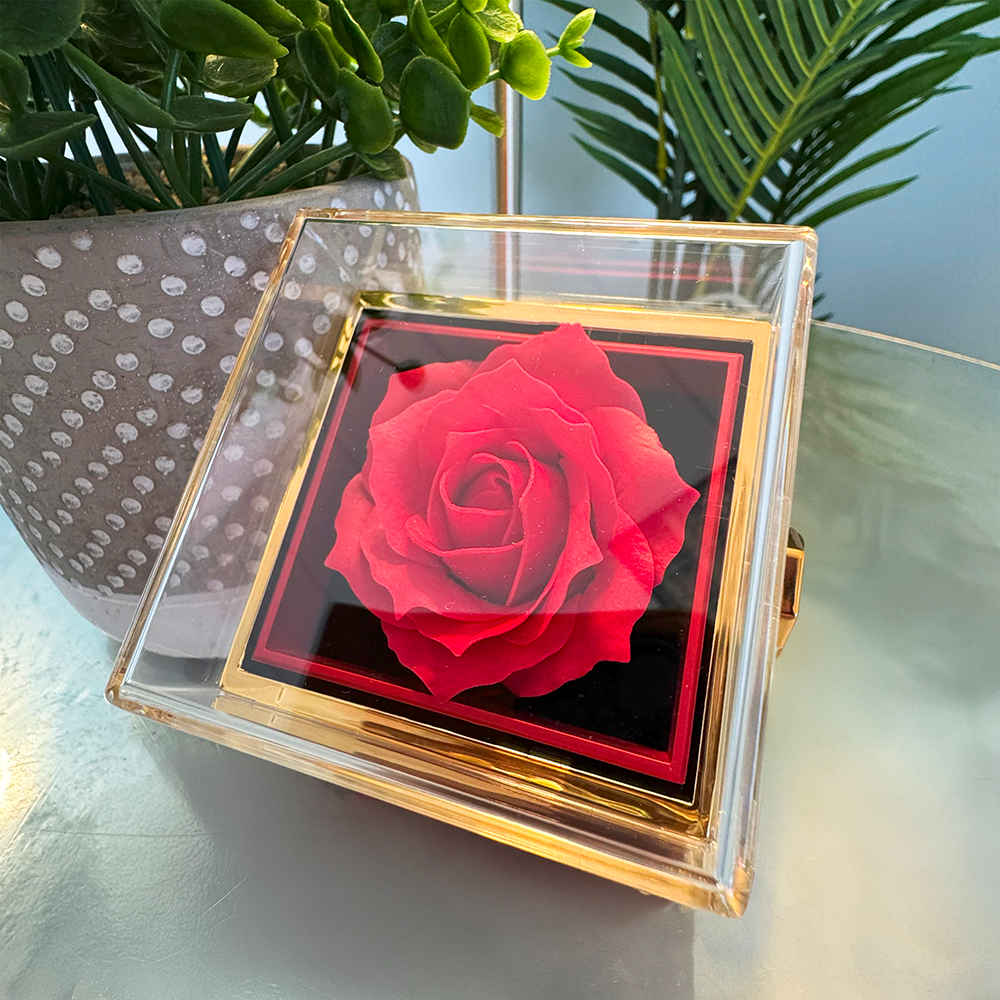 The Eternal Love Pendant & Rose Gift Set