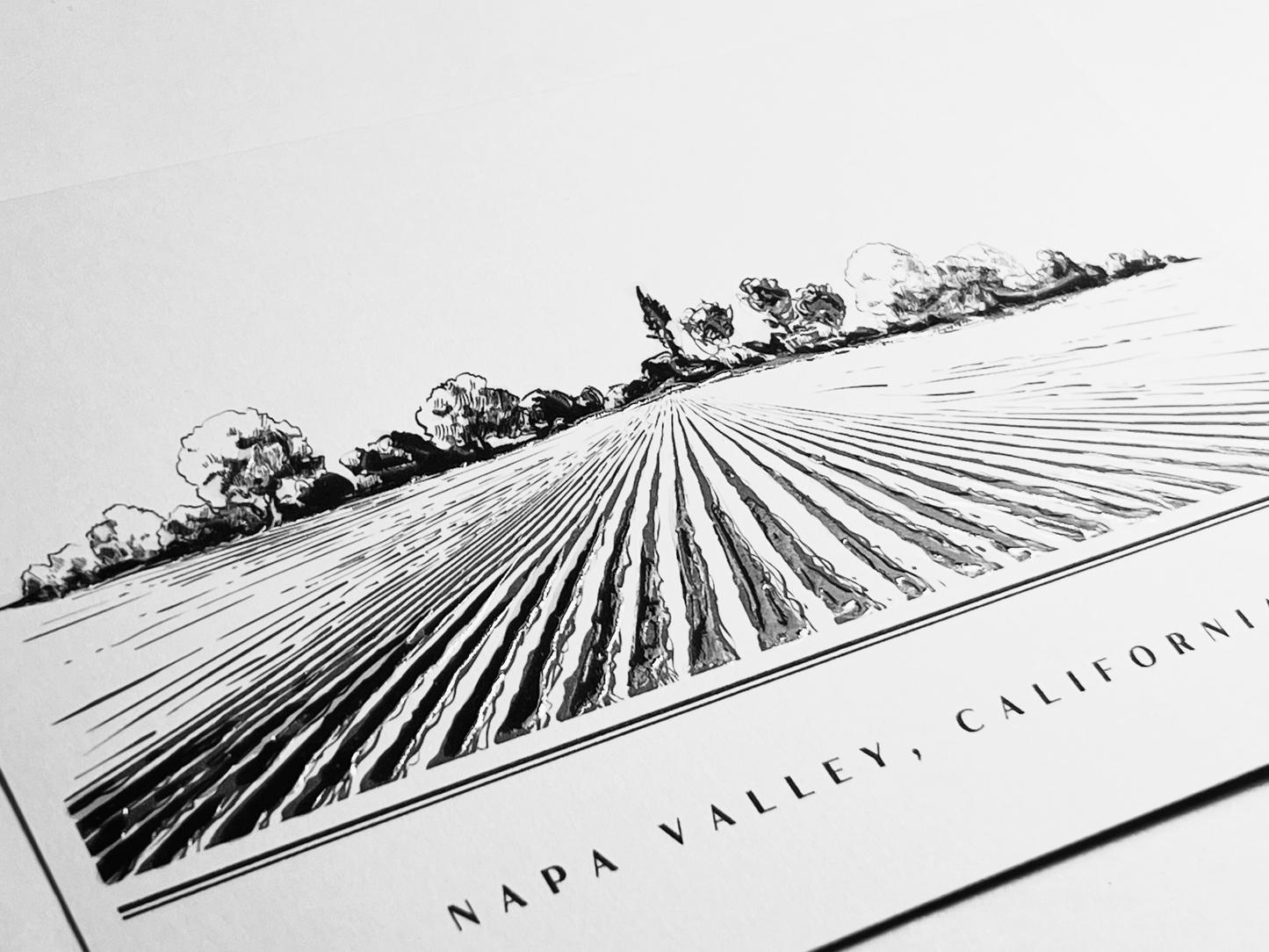 The Napa Valley Deluxe Postcards, 8 pcs.