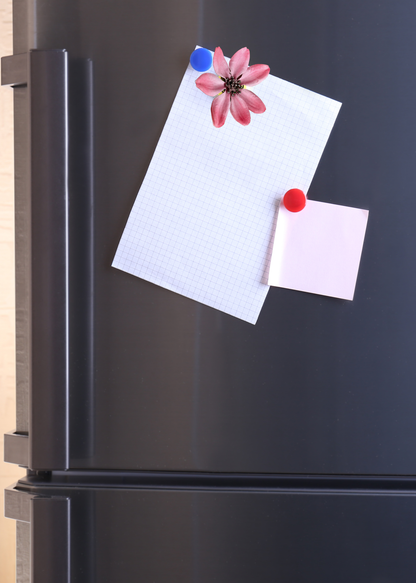 The Pink Daisy Flower Magnet