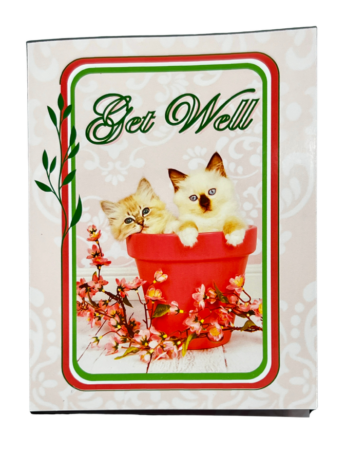 GET WELL Kittens Greeting Card