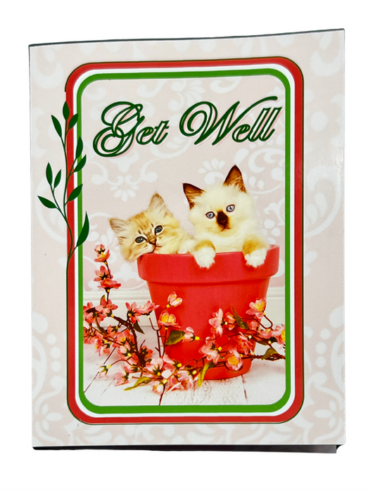 GET WELL Kittens Greeting Card