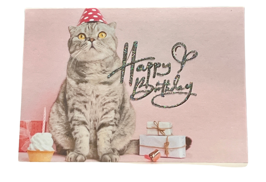 Glitter Kitty HAPPY BIRTHDAY Card